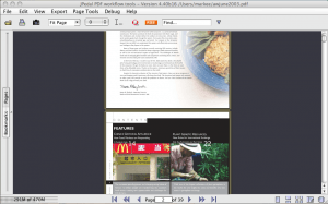 continuous view of PDF file