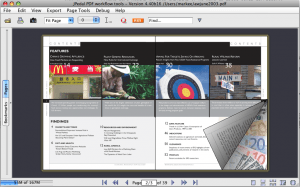 facing view of a PDF file