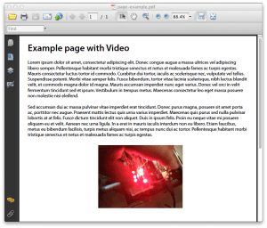 PDF version in Acrobat