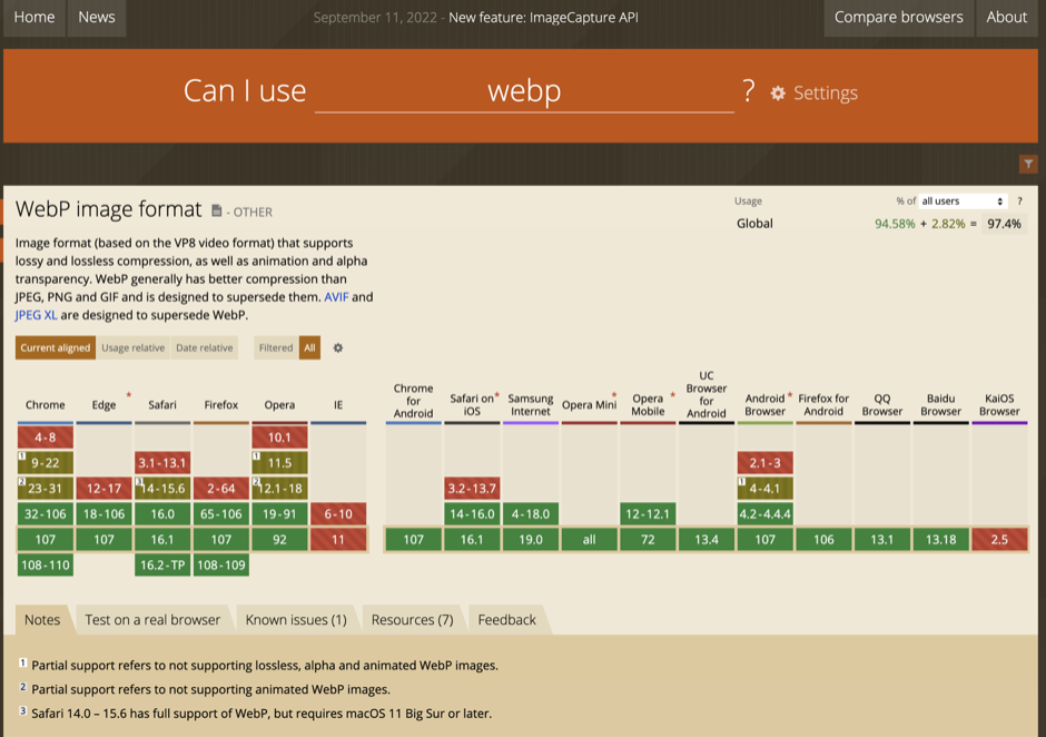 Screengrab from the website Can I use