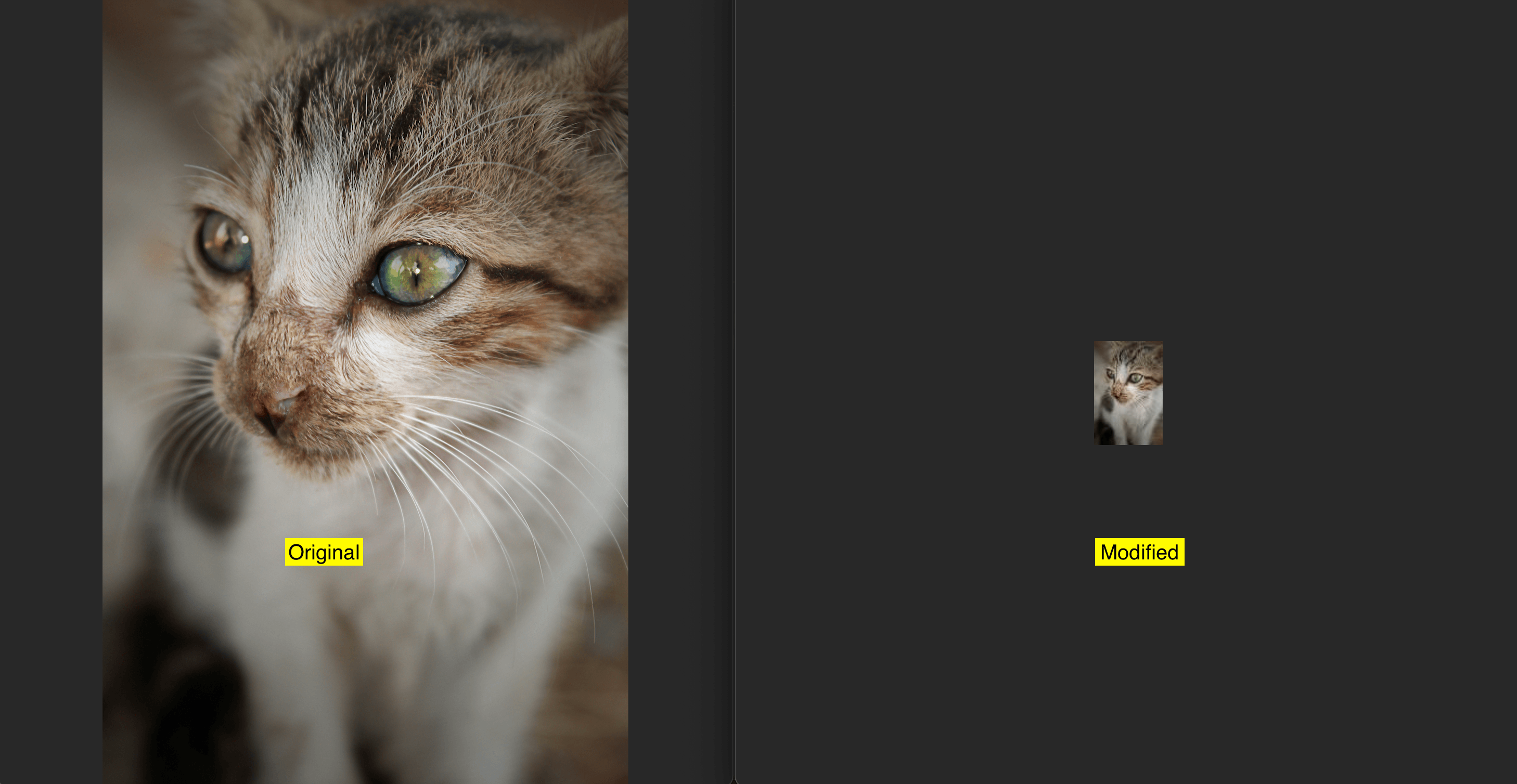Java image scaling library