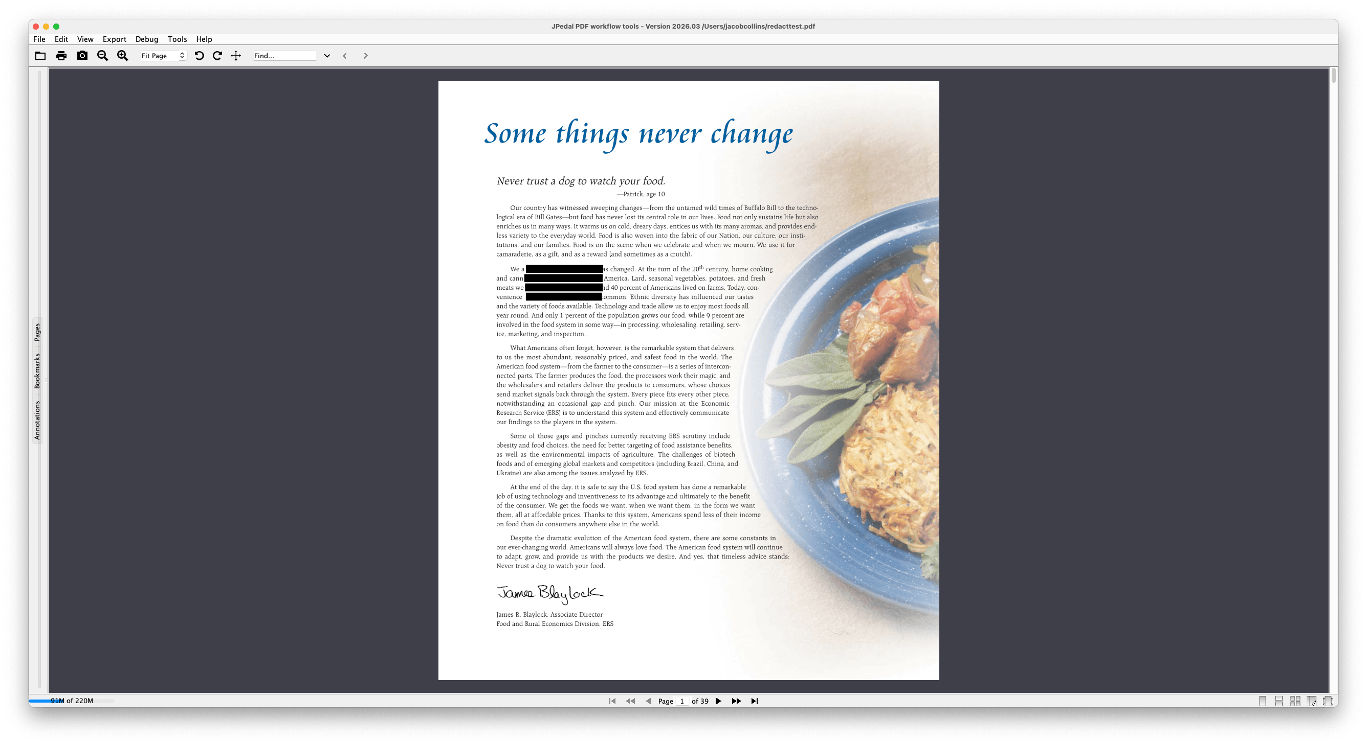 redacted pdf